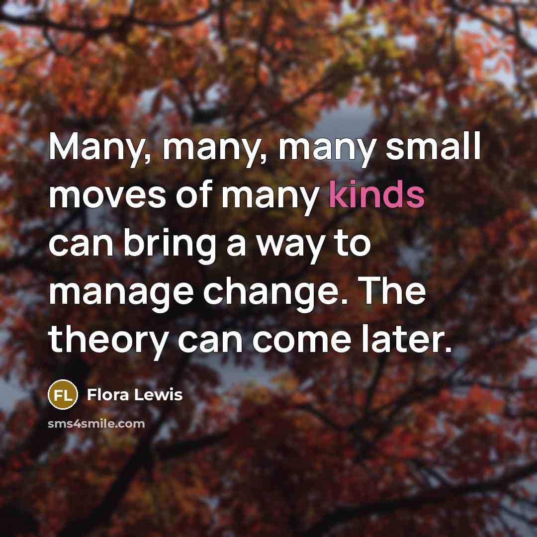 “Many, many, many small moves of many kinds can bring a way to manage change. The theory can come later.” quote by Flora Lewis