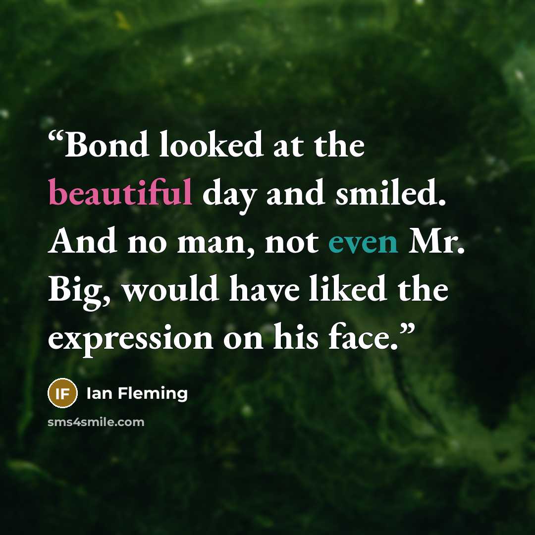 “Bond looked at the beautiful day and smiled. And no man, not even Mr. Big, would have liked the expression on his face.” quote by Ian Fleming