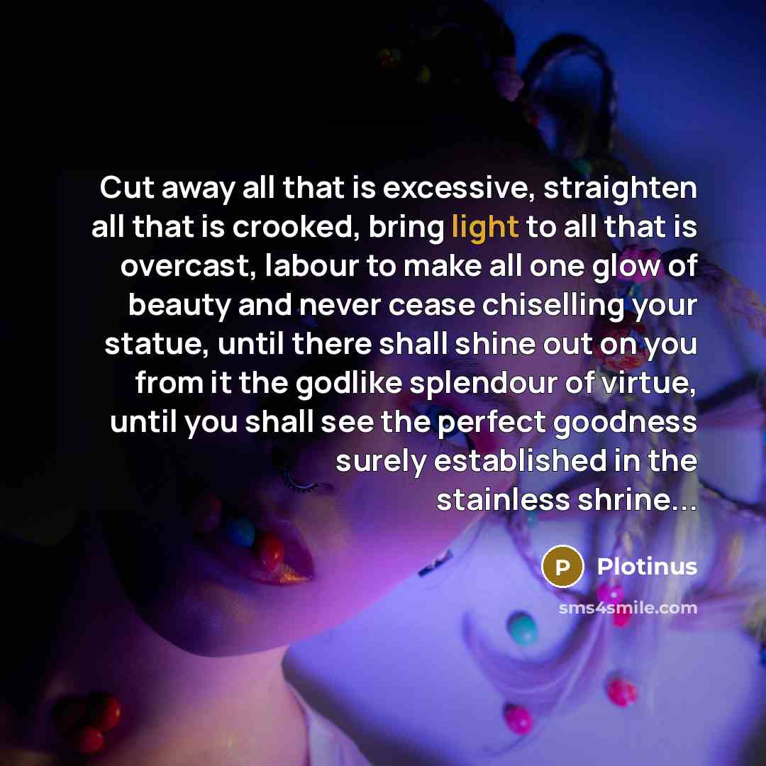 “Cut away all that is excessive, straighten all that is crooked, bring light to all that is overcast, labour to make all one glow of beauty and never cease chiselling your statue, until there shall shine out on you from it the godlike splendour of virtue, until you shall see the perfect goodness…” quote by Plotinus