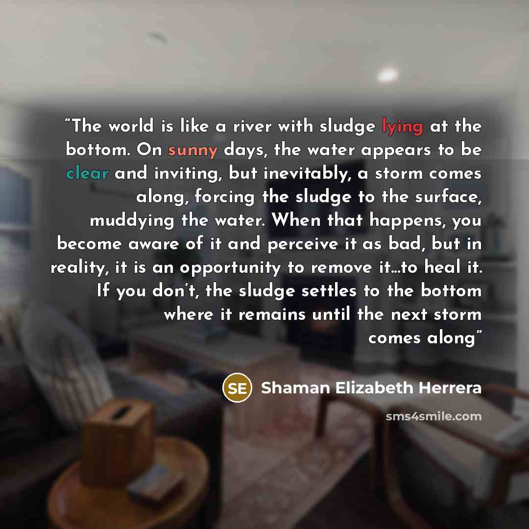 “The world is like a river with sludge lying at the bottom. On sunny days, the water appears to be clear and inviting, but inevitably, a storm comes along, forcing the sludge to the surface, muddying the water. When that happens, you become aware of it and perceive it as bad, but in reality, it is…” quote by Shaman Elizabeth Herrera