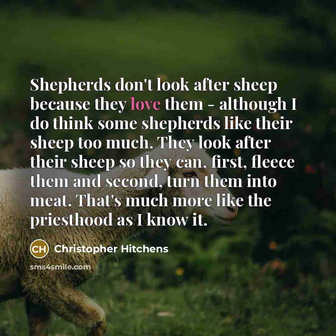 “Shepherds don't look after sheep because they love them - although I do think some shepherds like their sheep too much. They look after their sheep so they can, first, fleece them and second, turn them into meat. That's much more like the priesthood as I know it.” quote by Christopher Hitchens