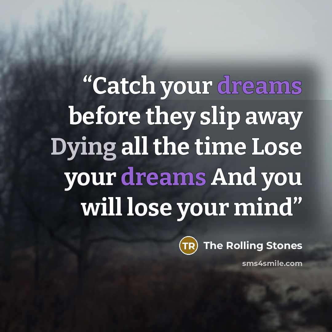 “Catch your dreams before they slip away Dying all the time Lose your dreams And you will lose your mind” quote by The Rolling Stones