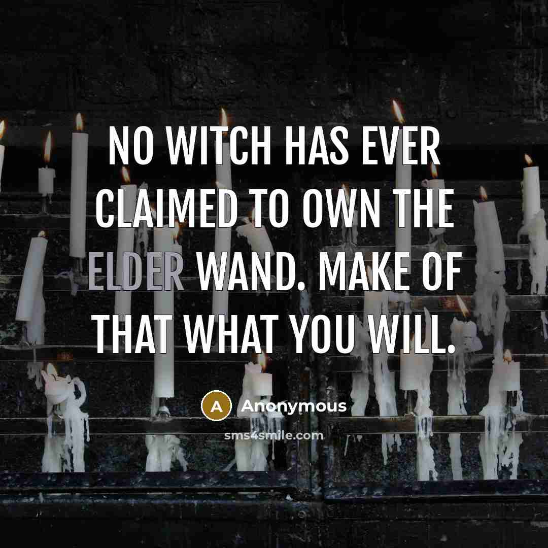“No witch has ever claimed to own the Elder Wand. Make of that what you will.” quote by Anonymous