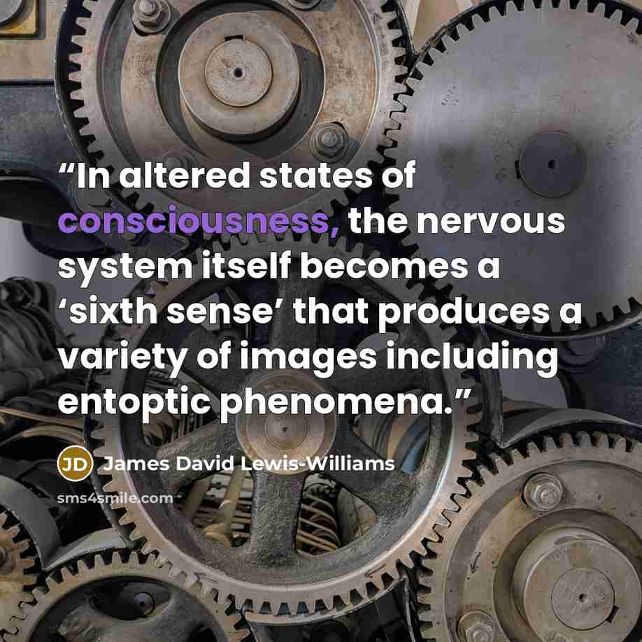 “In altered states of consciousness, the nervous system itself becomes a ‘sixth sense’ that produces a variety of images including entoptic phenomena.” quote by James David Lewis-Williams