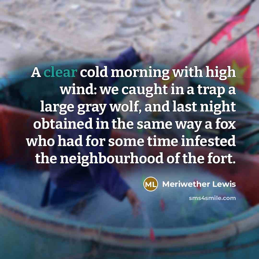 “A clear cold morning with high wind: we caught in a trap a large gray wolf, and last night obtained in the same way a fox who had for some time infested the neighbourhood of the fort.” quote by Meriwether Lewis