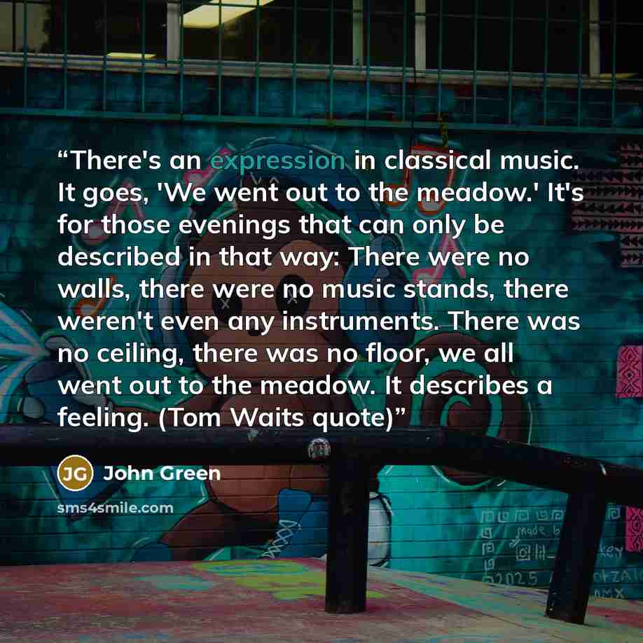 “There's an expression in classical music. It goes, 'We went out to the meadow.' It's for those evenings that can only be described in that way: There were no walls, there were no music stands, there weren't even any instruments. There was no ceiling, there was no floor, we all went out to the…” quote by John Green