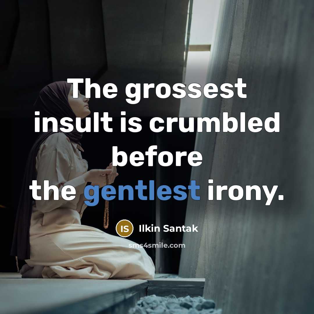 “The grossest insult is crumbled before the gentlest irony.” quote by Ilkin Santak