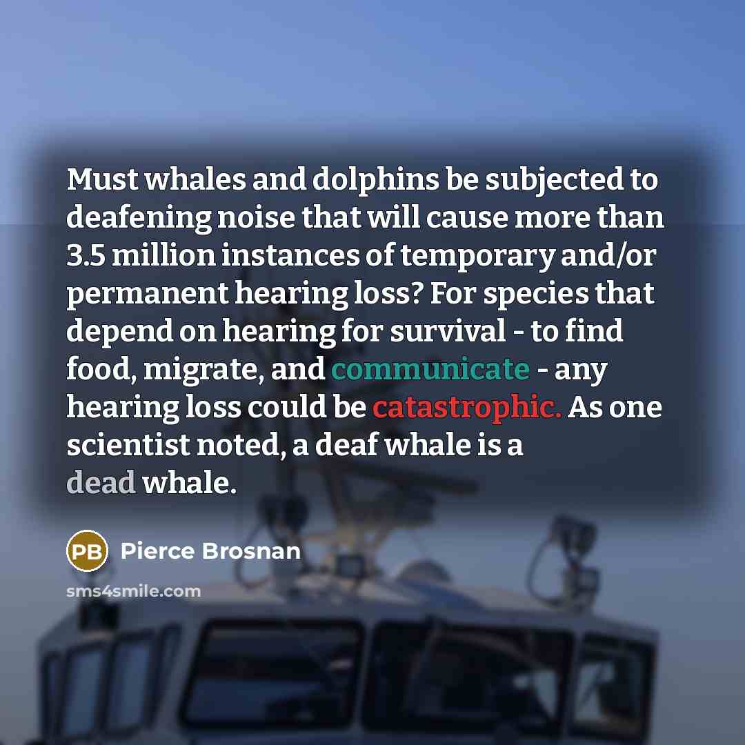 “Must whales and dolphins be subjected to deafening noise that will cause more than 3.5 million instances of temporary and/or permanent hearing loss? For species that depend on hearing for survival - to find food, migrate, and communicate - any hearing loss could be catastrophic. As one scientist…” quote by Pierce Brosnan