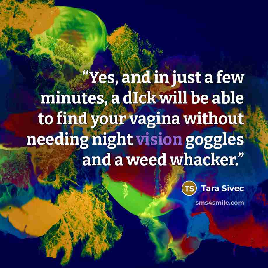 “Yes, and in just a few minutes, a dIck will be able to find your vagina without needing night vision goggles and a weed whacker.” quote by Tara Sivec