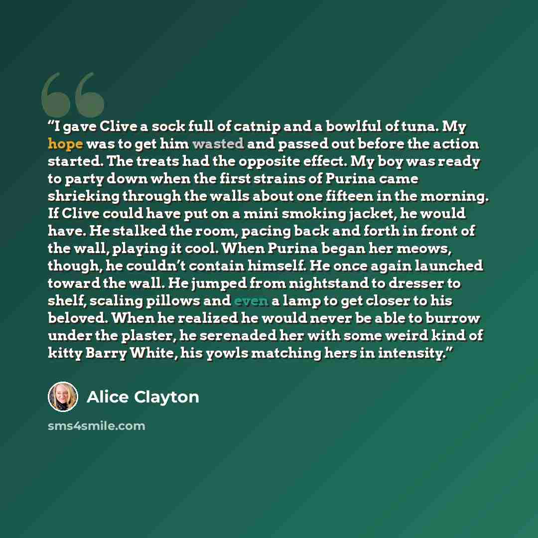 “I gave Clive a sock full of catnip and a bowlful of tuna. My hope was to get him wasted and passed out before the action started. The treats had the opposite effect. My boy was ready to party down when the first strains of Purina came shrieking through the walls about one fifteen in the morning…” quote by Alice Clayton