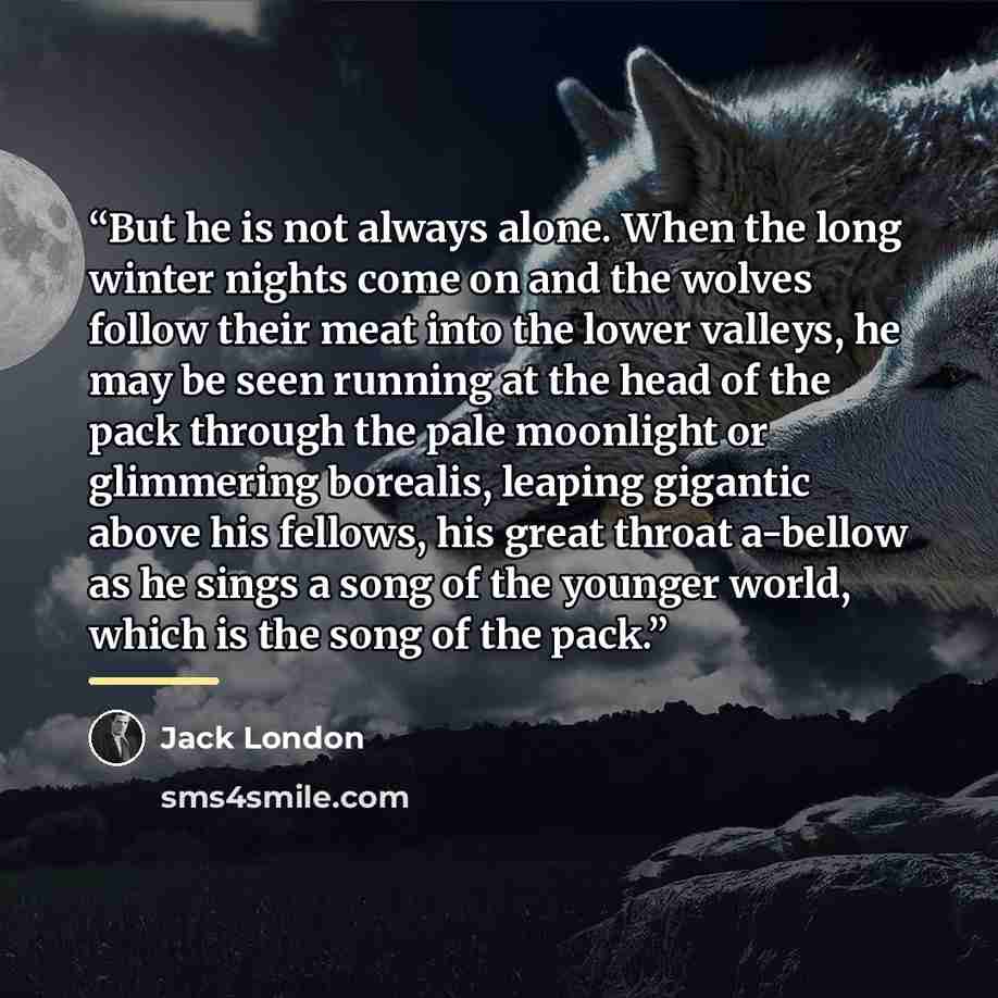 “But he is not always alone. When the long winter nights come on and the wolves follow their meat into the lower valleys, he may be seen running at the head of the pack through the pale moonlight or glimmering borealis, leaping gigantic above his fellows, his great throat a-bellow as he sings a…” quote by Jack London