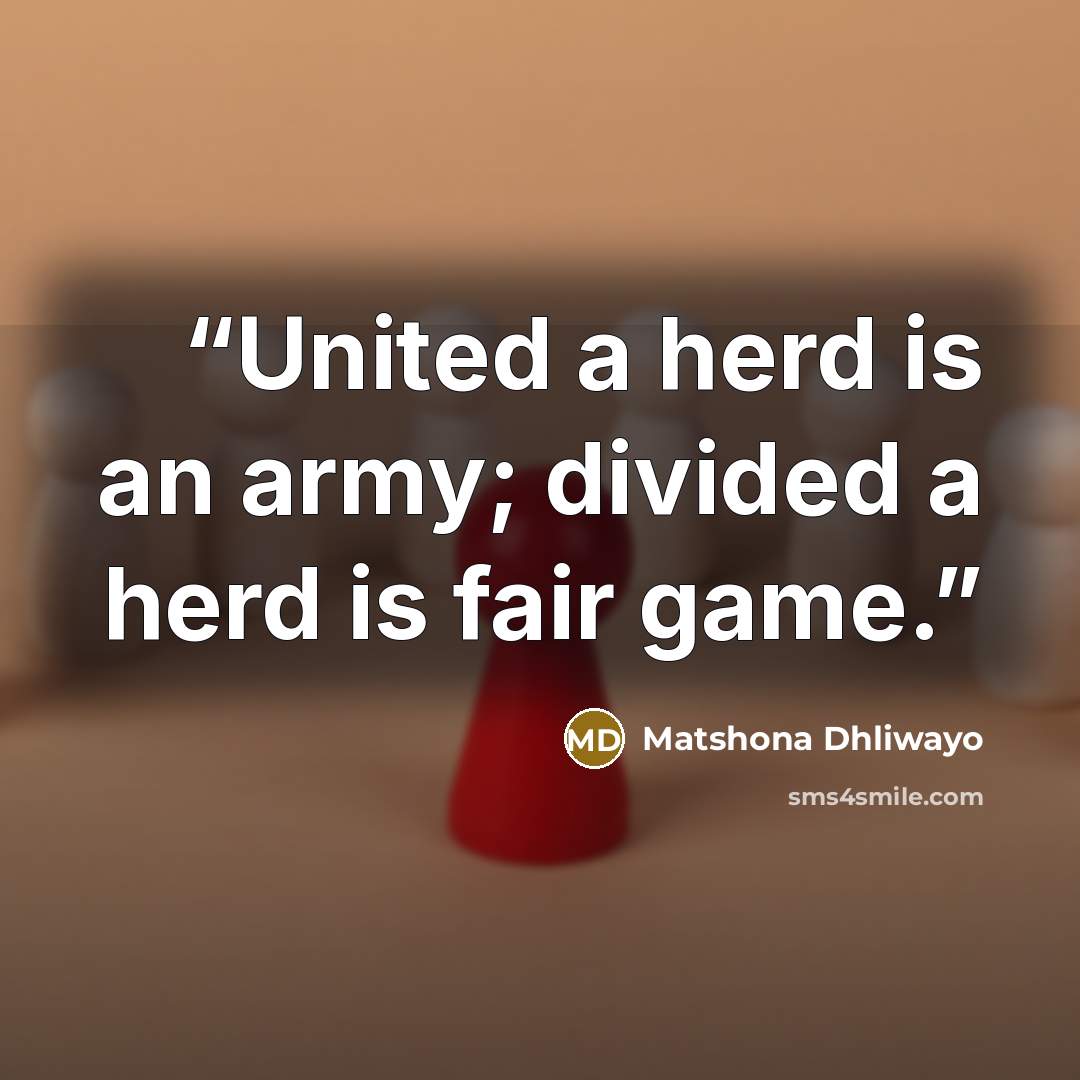“United a herd is an army; divided a herd is fair game.” quote by Matshona Dhliwayo