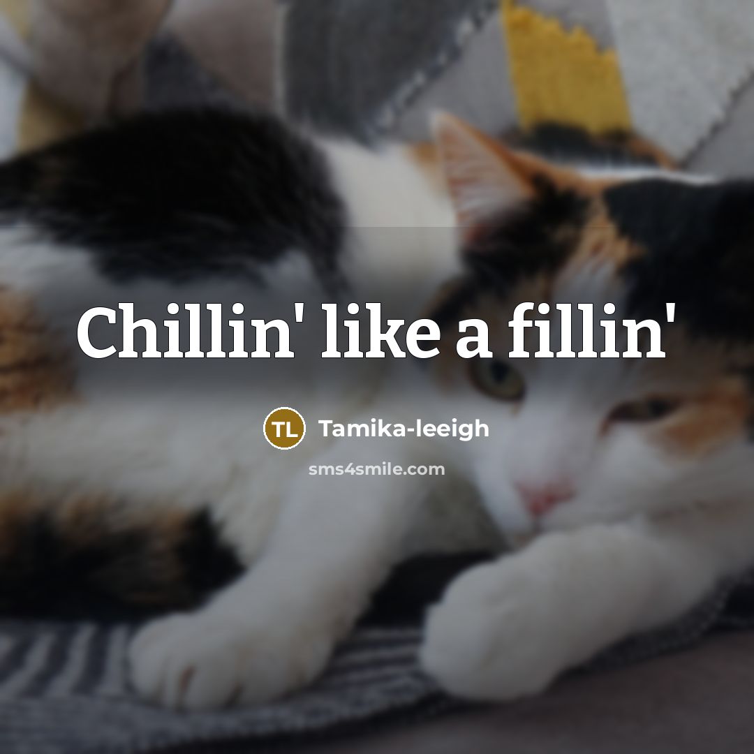 “Chillin' like a fillin'” quote by Tamika-leeigh