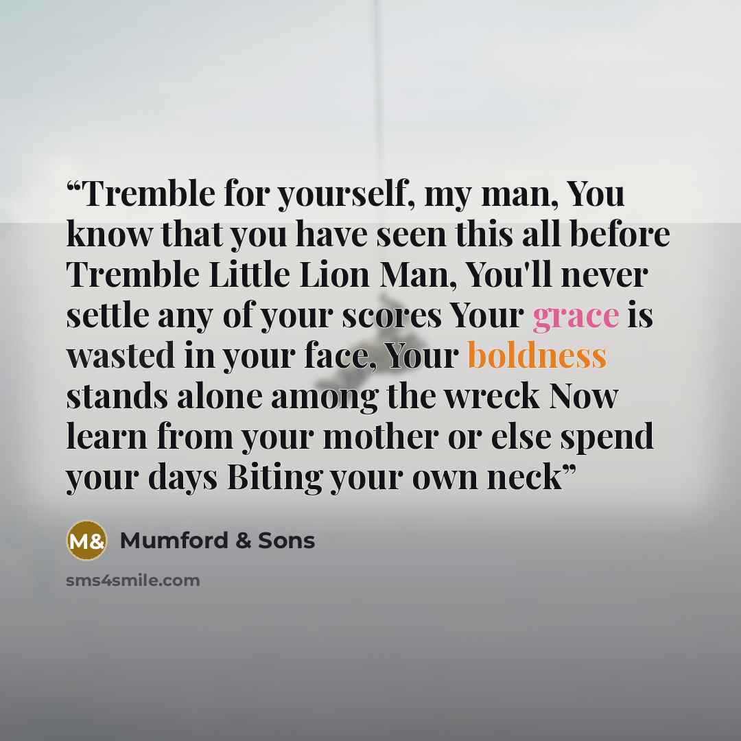 “Tremble for yourself, my man, You know that you have seen this all before Tremble Little Lion Man, You'll never settle any of your scores Your grace is wasted in your face, Your boldness stands alone among the wreck Now learn from your mother or else spend your days Biting your own neck” quote by Mumford & Sons