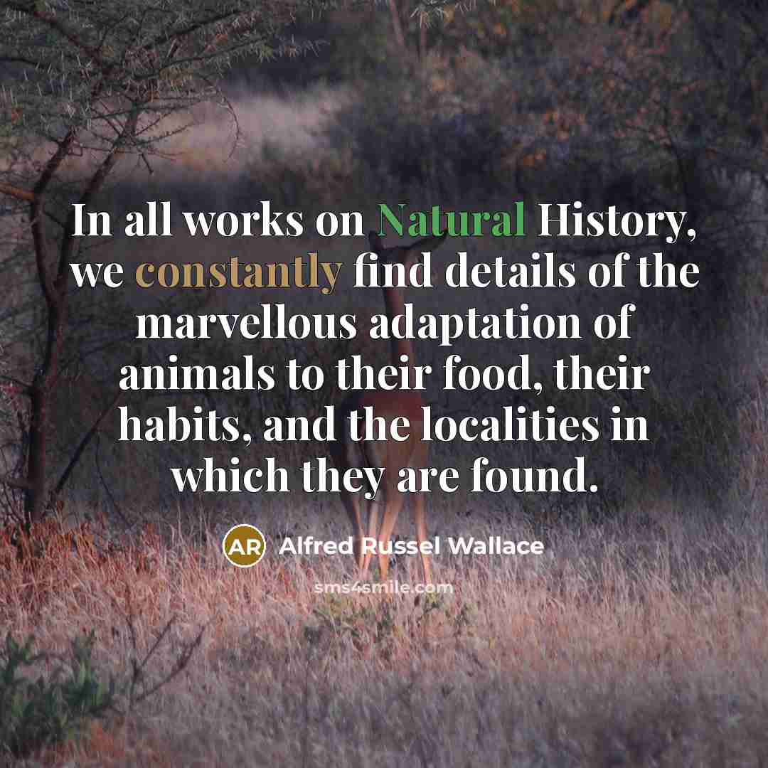 “In all works on Natural History, we constantly find details of the marvellous adaptation of animals to their food, their habits, and the localities in which they are found.” quote by Alfred Russel Wallace