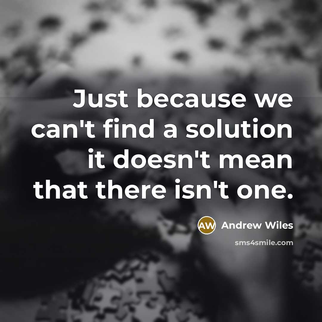 “Just because we can't find a solution it doesn't mean that there isn't one.” quote by Andrew Wiles