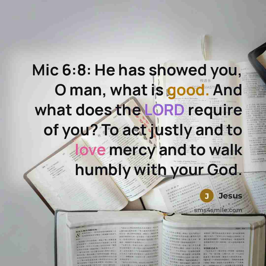 “Mic 6:8: He has showed you, O man, what is good. And what does the LORD require of you? To act justly and to love mercy and to walk humbly with your God.” quote by Jesus