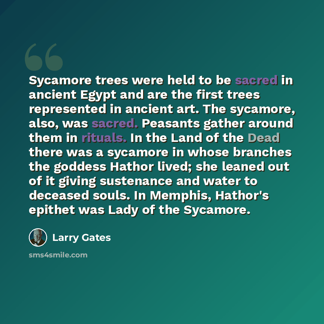 “Sycamore trees were held to be sacred in ancient Egypt and are the first trees represented in ancient art. The sycamore, also, was sacred. Peasants gather around them in rituals. In the Land of the Dead there was a sycamore in whose branches the goddess Hathor lived; she leaned out of it giving…” quote by Larry Gates