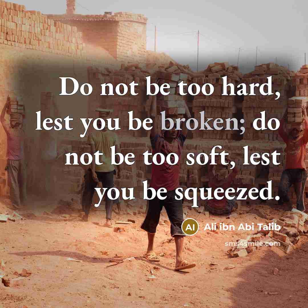 “Do not be too hard, lest you be broken; do not be too soft, lest you be squeezed.” quote by Ali ibn Abi Talib