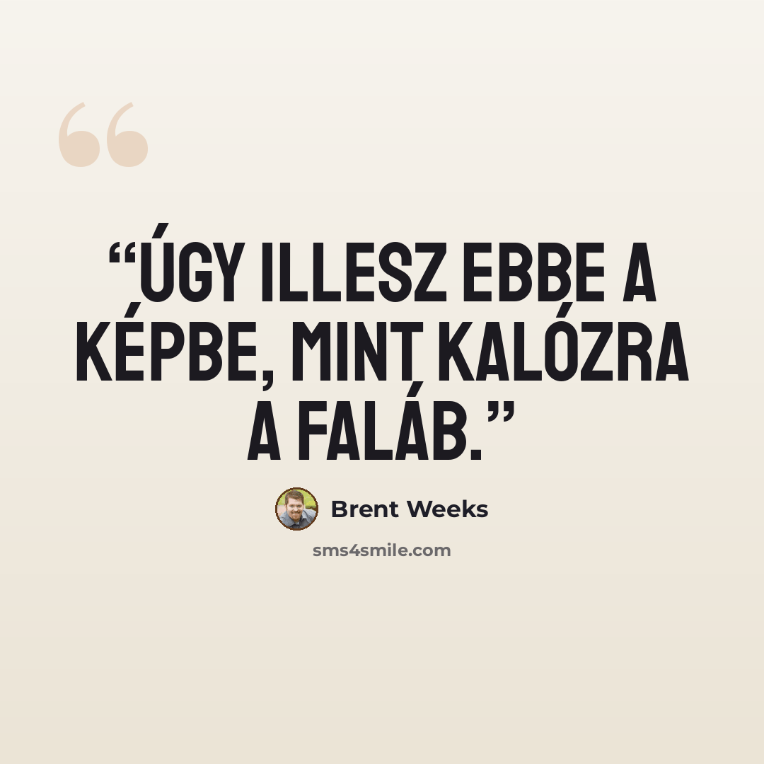 “Úgy illesz ebbe a képbe, mint kalózra a faláb.” quote by Brent Weeks