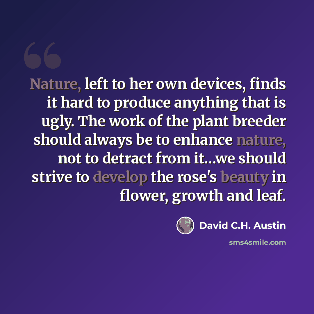 “Nature, left to her own devices, finds it hard to produce anything that is ugly. The work of the plant breeder should always be to enhance nature, not to detract from it…we should strive to develop the rose's beauty in flower, growth and leaf.” quote by David C.H. Austin