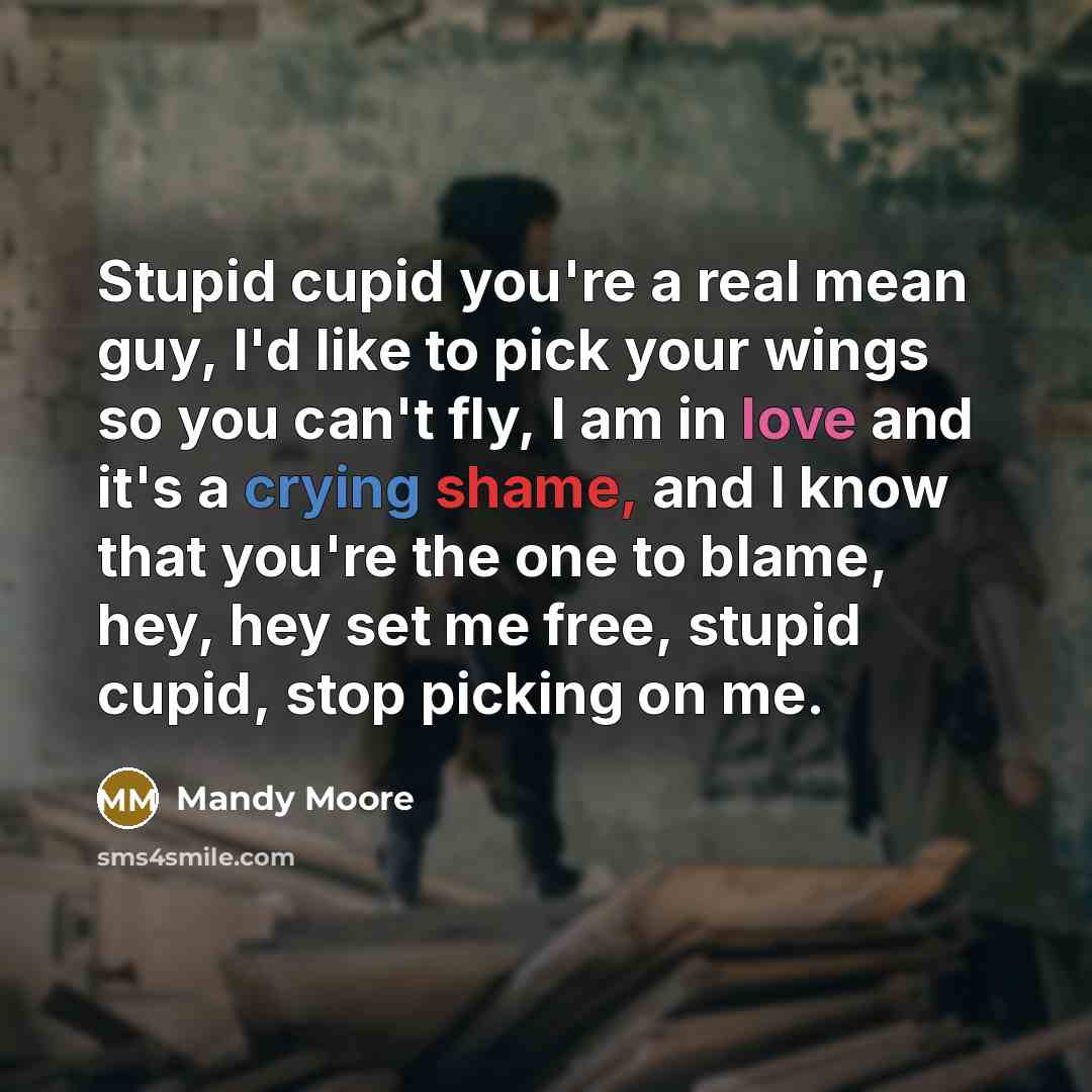 “Stupid cupid you're a real mean guy, I'd like to pick your wings so you can't fly, I am in love and it's a crying shame, and I know that you're the one to blame, hey, hey set me free, stupid cupid, stop picking on me.” quote by Mandy Moore