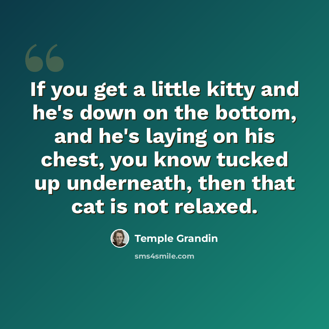 “If you get a little kitty and he's down on the bottom, and he's laying on his chest, you know tucked up underneath, then that cat is not relaxed.” quote by Temple Grandin