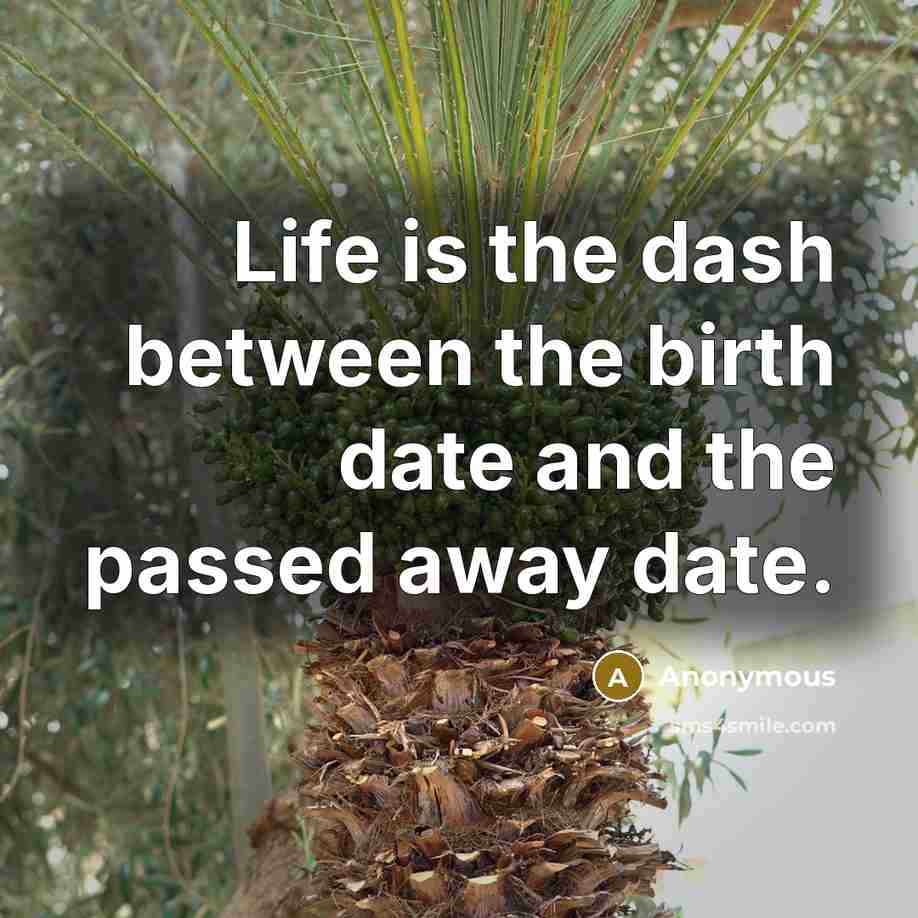 “Life is the dash between the birth date and the passed away date.” quote by Anonymous