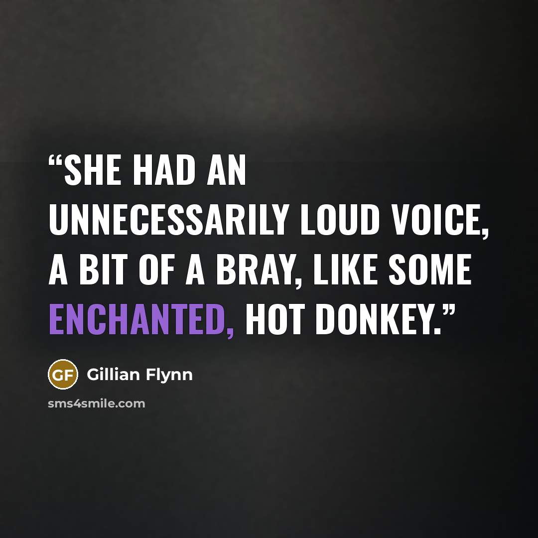 “She had an unnecessarily loud voice, a bit of a bray, like some enchanted, hot donkey.” quote by Gillian Flynn