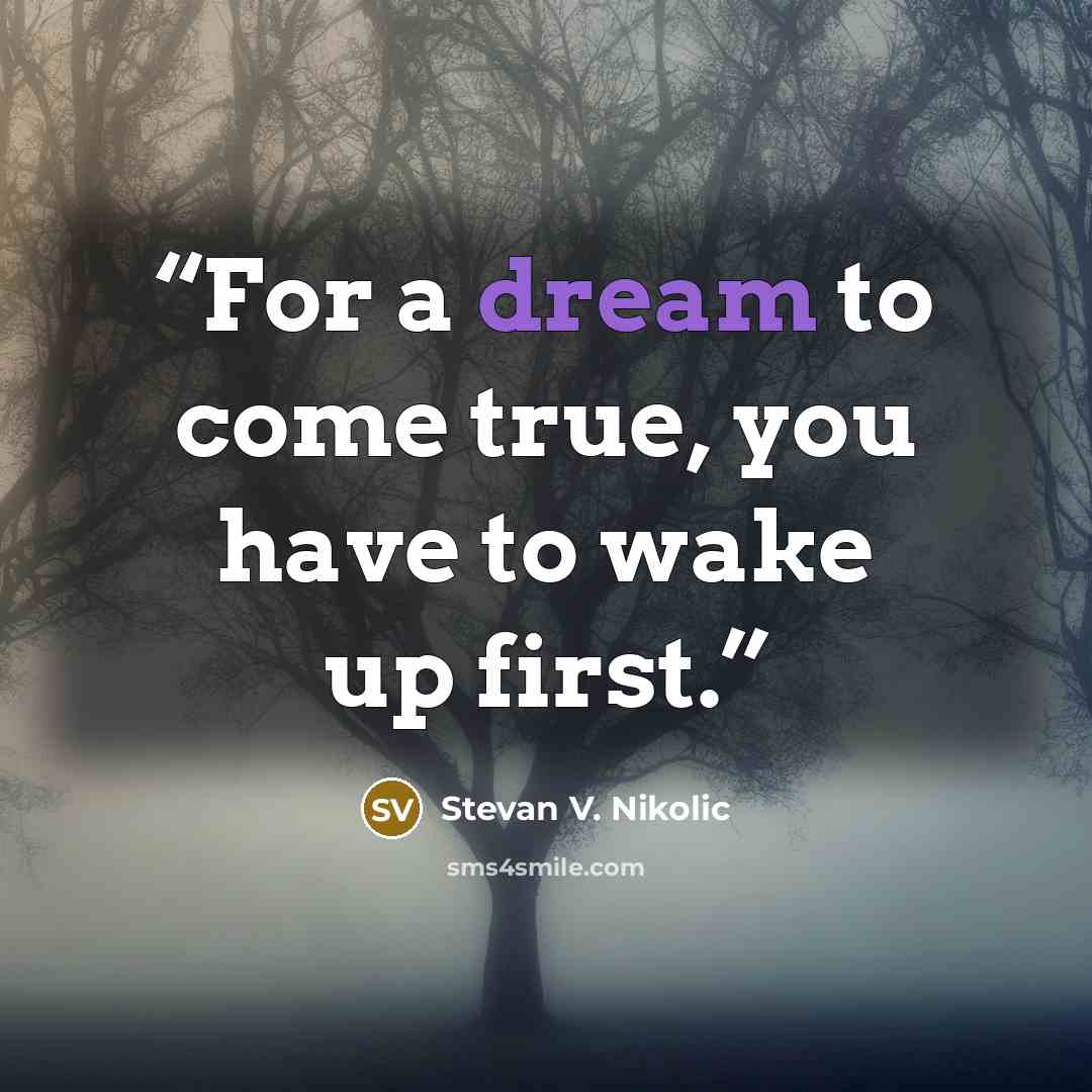 “For a dream to come true, you have to wake up first.” quote by Stevan V. Nikolic
