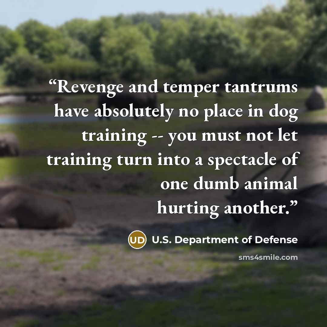 “Revenge and temper tantrums have absolutely no place in dog training -- you must not let training turn into a spectacle of one dumb animal hurting another.” quote by U.S. Department of Defense