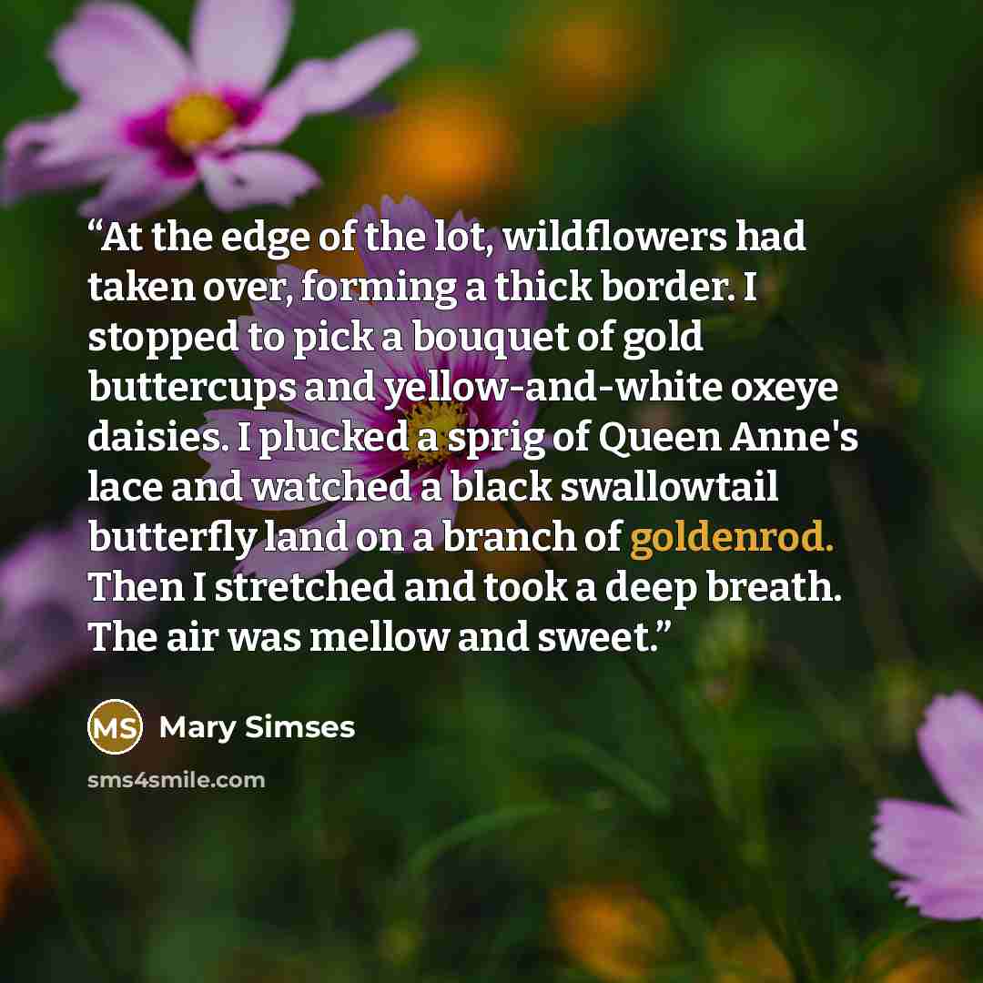 “At the edge of the lot, wildflowers had taken over, forming a thick border. I stopped to pick a bouquet of gold buttercups and yellow-and-white oxeye daisies. I plucked a sprig of Queen Anne's lace and watched a black swallowtail butterfly land on a branch of goldenrod. Then I stretched and took a…” quote by Mary Simses