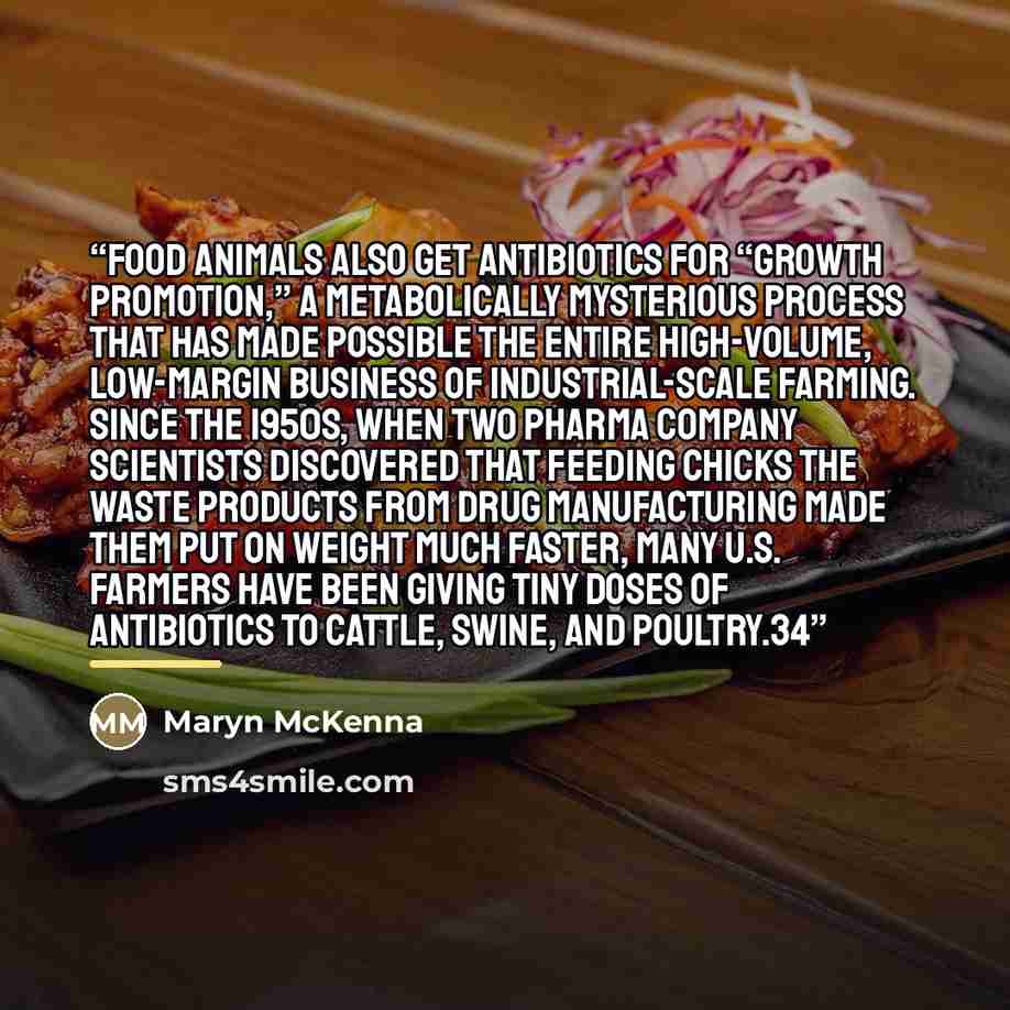 “Food animals also get antibiotics for “growth promotion,” a metabolically mysterious process that has made possible the entire high-volume, low-margin business of industrial-scale farming. Since the 1950s, when two pharma company scientists discovered that feeding chicks the waste products from…” quote by Maryn McKenna