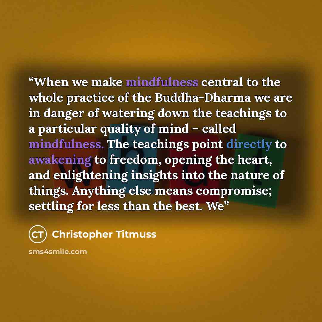 “When we make mindfulness central to the whole practice of the Buddha-Dharma we are in danger of watering down the teachings to a particular quality of mind – called mindfulness. The teachings point directly to awakening to freedom, opening the heart, and enlightening insights into the nature of…” quote by Christopher Titmuss
