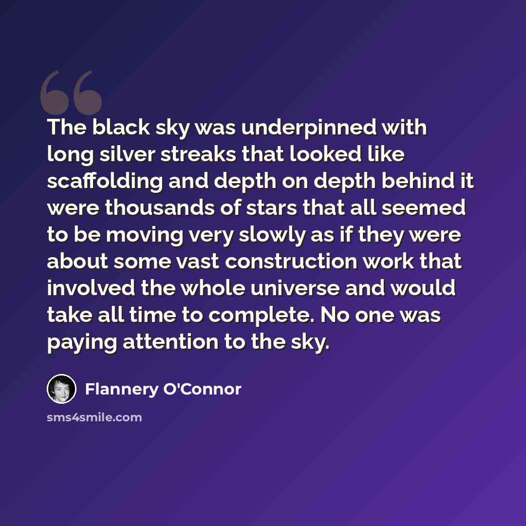 “The black sky was underpinned with long silver streaks that looked like scaffolding and depth on depth behind it were thousands of stars that all seemed to be moving very slowly as if they were about some vast construction work that involved the whole universe and would take all time to complete…” quote by Flannery O'Connor