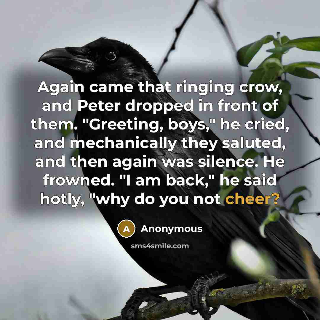 “Again came that ringing crow, and Peter dropped in front of them. "Greeting, boys," he cried, and mechanically they saluted, and then again was silence. He frowned. "I am back," he said hotly, "why do you not cheer?” quote by Anonymous