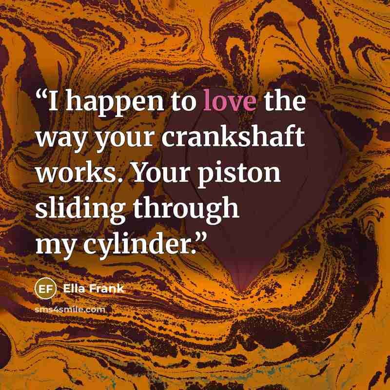 “I happen to love the way your crankshaft works. Your piston sliding through my cylinder.” quote by Ella Frank