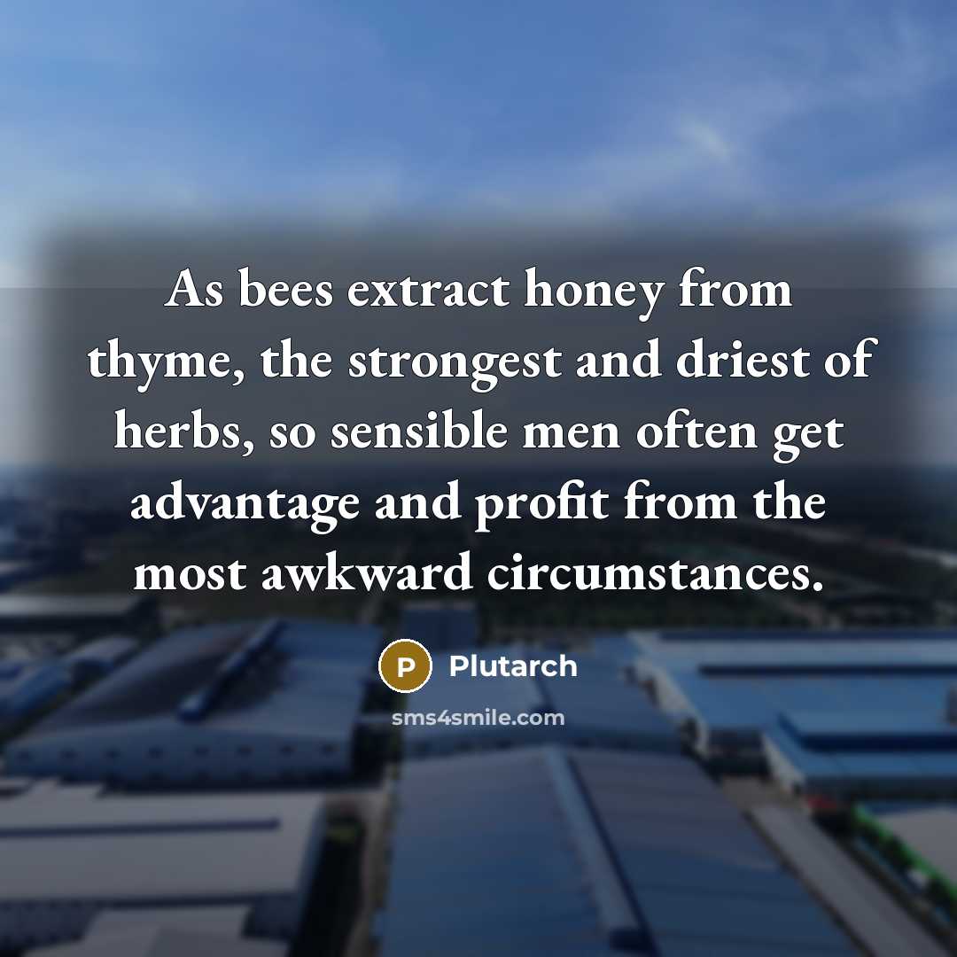 “As bees extract honey from thyme, the strongest and driest of herbs, so sensible men often get advantage and profit from the most awkward circumstances.” quote by Plutarch