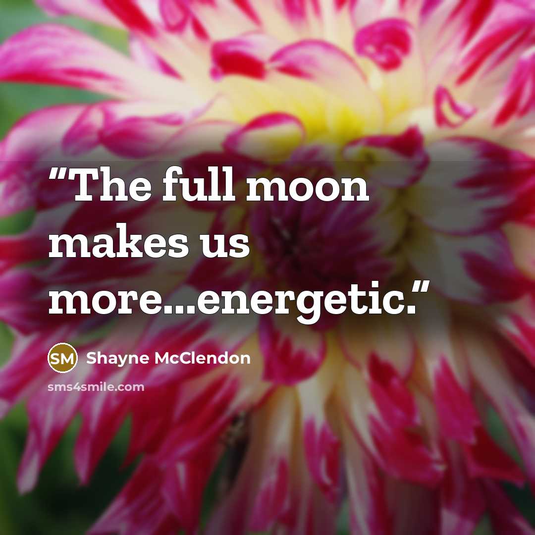 “The full moon makes us more...energetic.” quote by Shayne McClendon
