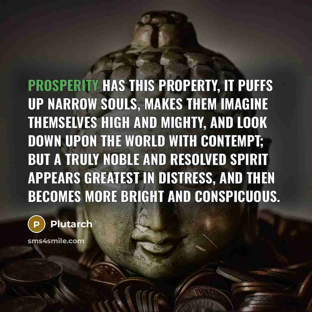 “Prosperity has this property, it puffs up narrow Souls, makes them imagine themselves high and mighty, and look down upon the World with Contempt; but a truly noble and resolved Spirit appears greatest in Distress, and then becomes more bright and conspicuous.” quote by Plutarch