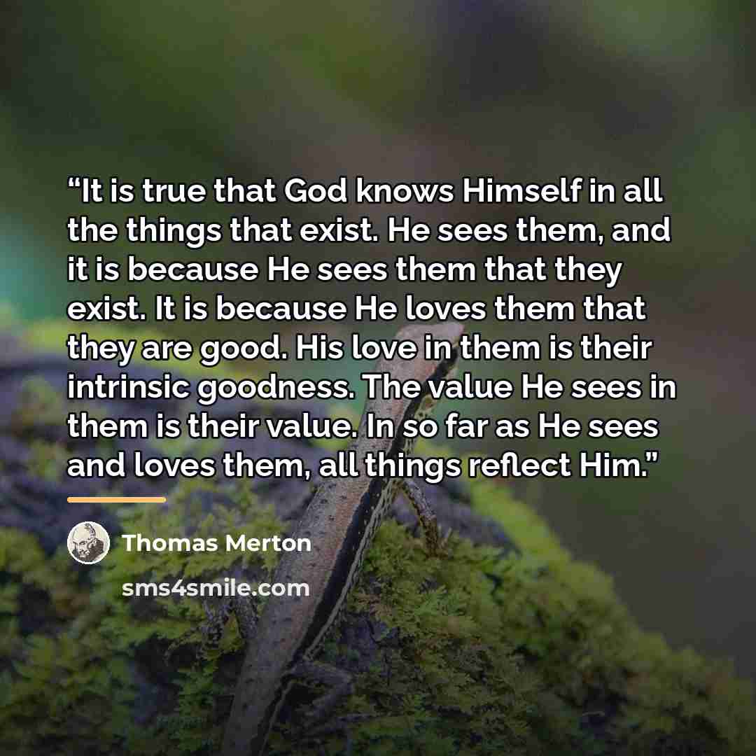 “It is true that God knows Himself in all the things that exist. He sees them, and it is because He sees them that they exist. It is because He loves them that they are good. His love in them is their intrinsic goodness. The value He sees in them is their value. In so far as He sees and loves them…” quote by Thomas Merton