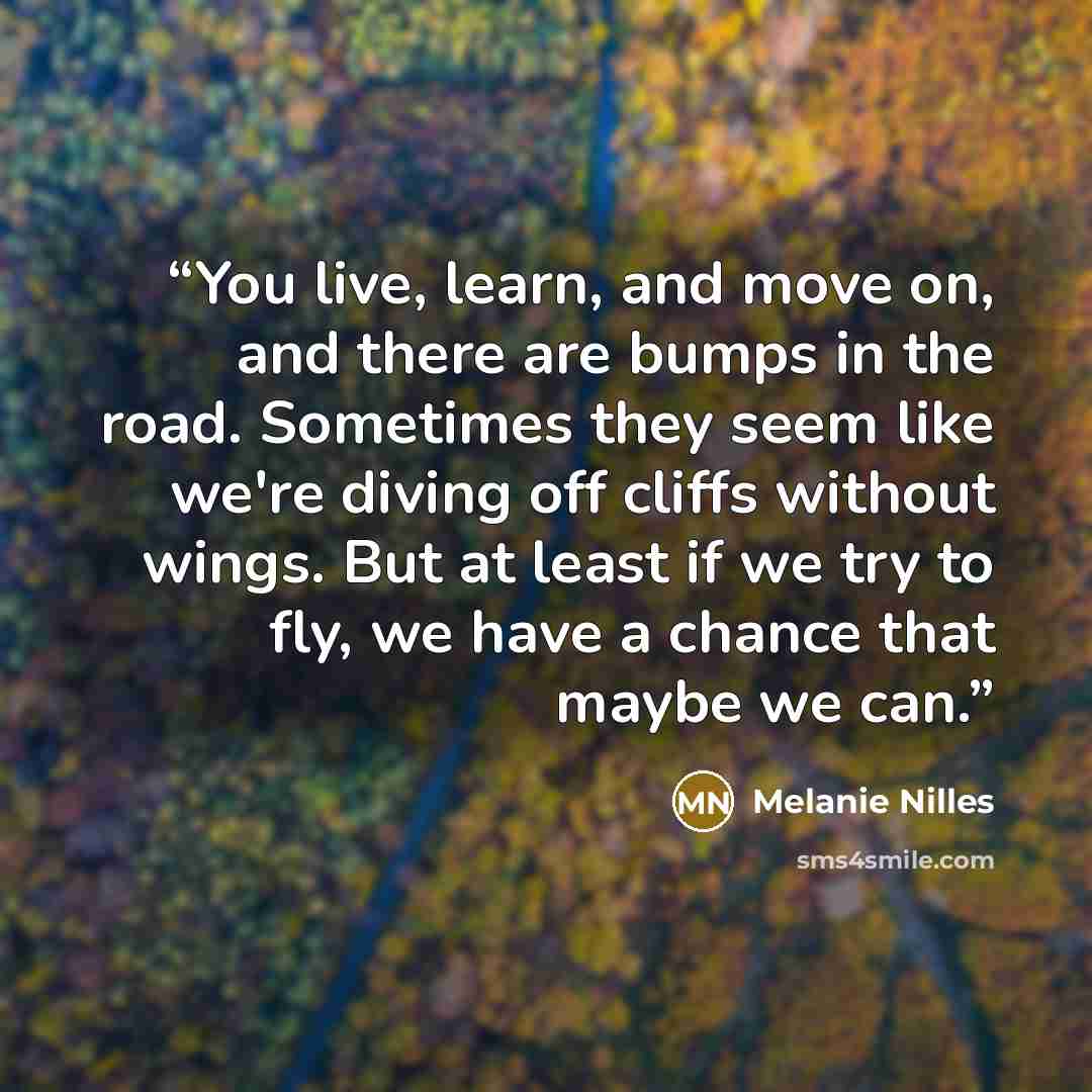 “You live, learn, and move on, and there are bumps in the road. Sometimes they seem like we're diving off cliffs without wings. But at least if we try to fly, we have a chance that maybe we can.” quote by Melanie Nilles