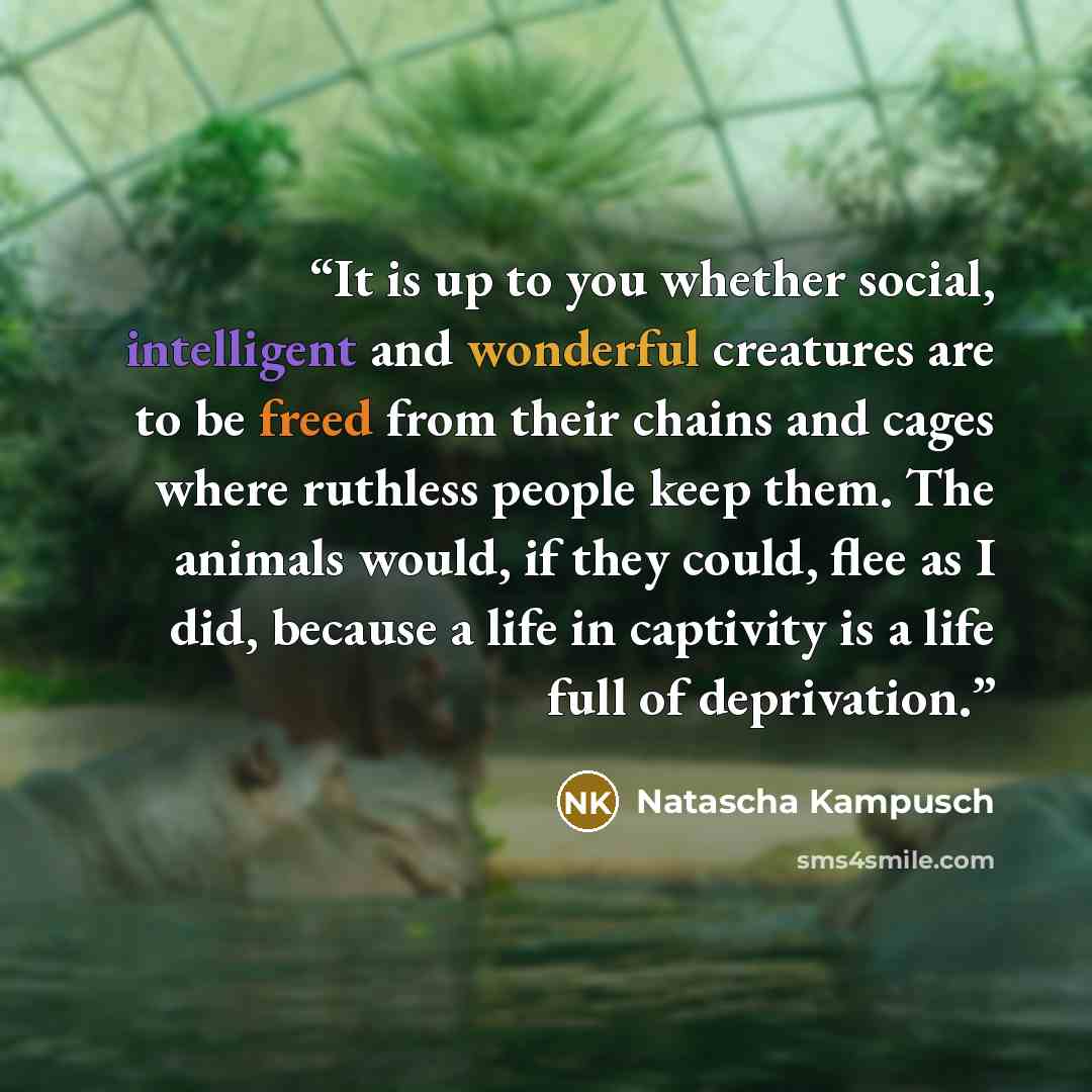 “It is up to you whether social, intelligent and wonderful creatures are to be freed from their chains and cages where ruthless people keep them. The animals would, if they could, flee as I did, because a life in captivity is a life full of deprivation.” quote by Natascha Kampusch