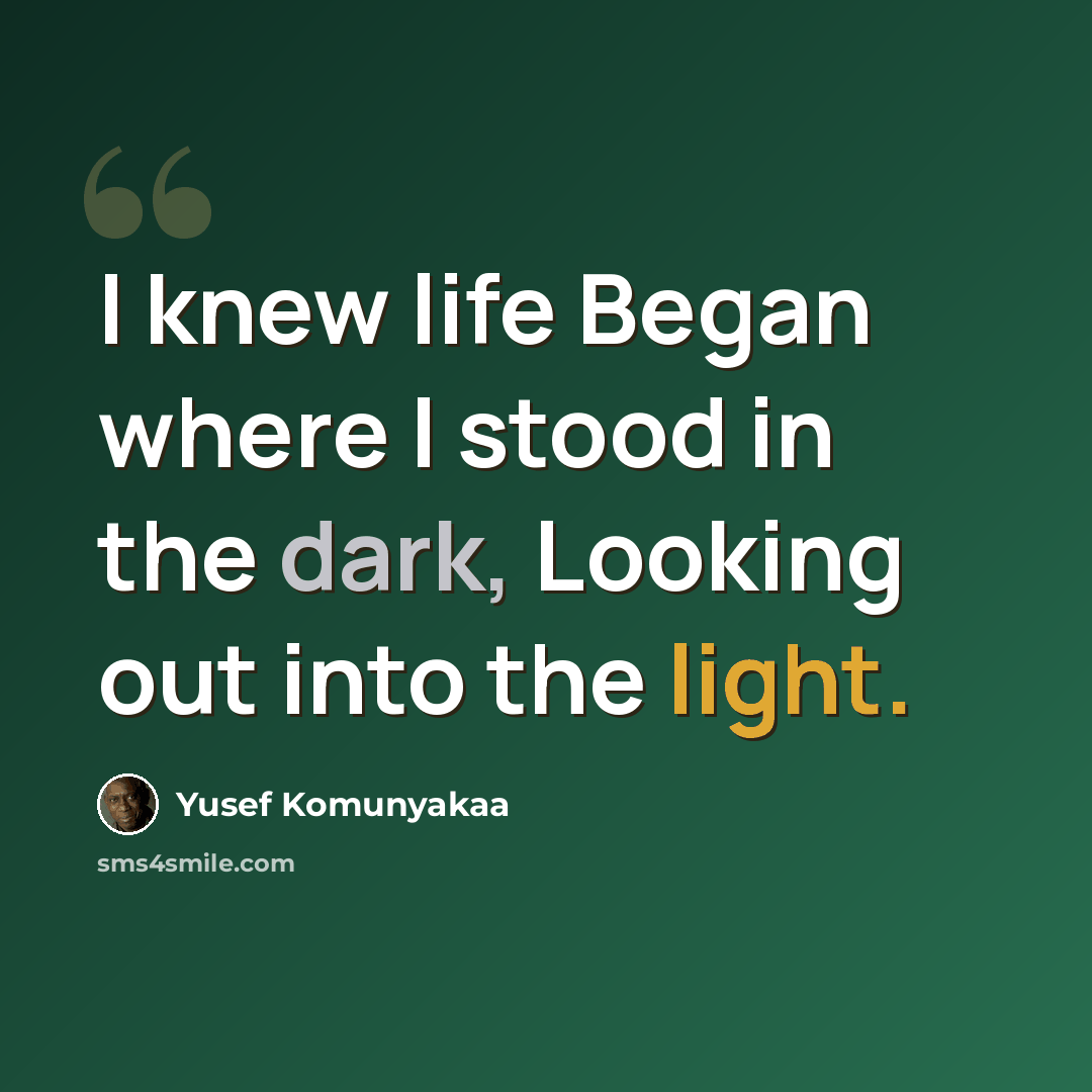 “I knew life Began where I stood in the dark, Looking out into the light.” quote by Yusef Komunyakaa