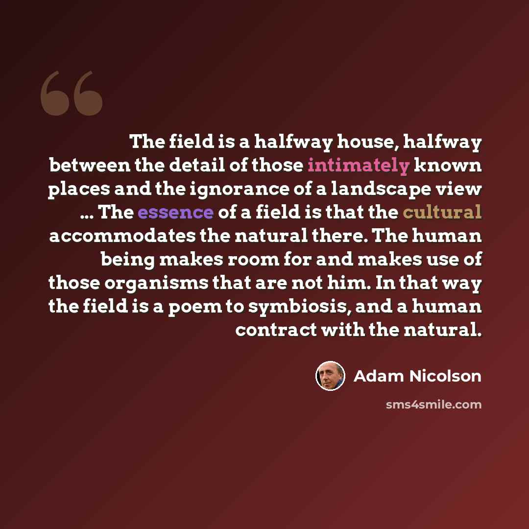 “The field is a halfway house, halfway between the detail of those intimately known places and the ignorance of a landscape view ... The essence of a field is that the cultural accommodates the natural there. The human being makes room for and makes use of those organisms that are not him. In that…” quote by Adam Nicolson