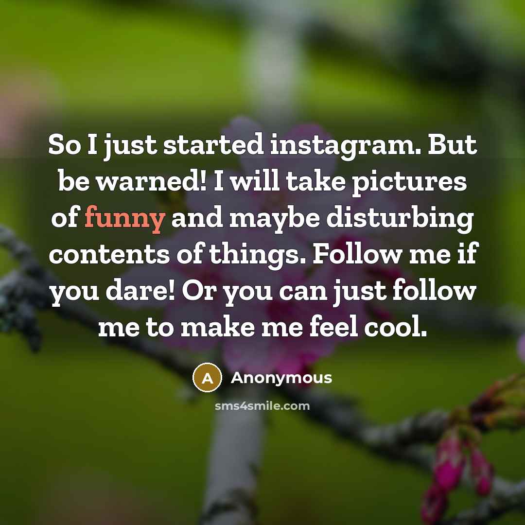 “So I just started instagram. But be warned! I will take pictures of funny and maybe disturbing contents of things. Follow me if you dare! Or you can just follow me to make me feel cool.” quote by Anonymous