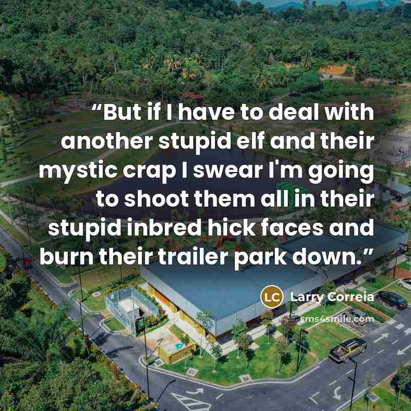 “But if I have to deal with another stupid elf and their mystic crap I swear I'm going to shoot them all in their stupid inbred hick faces and burn their trailer park down.” quote by Larry Correia