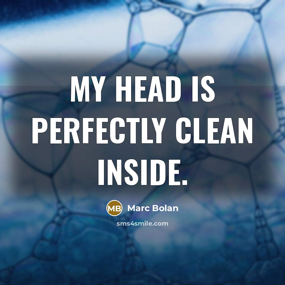 “My head is perfectly clean inside.” quote by Marc Bolan