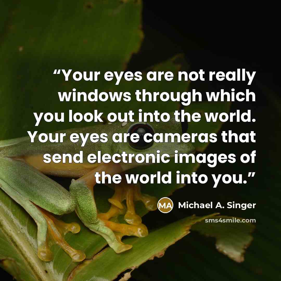 “Your eyes are not really windows through which you look out into the world. Your eyes are cameras that send electronic images of the world into you.” quote by Michael A. Singer