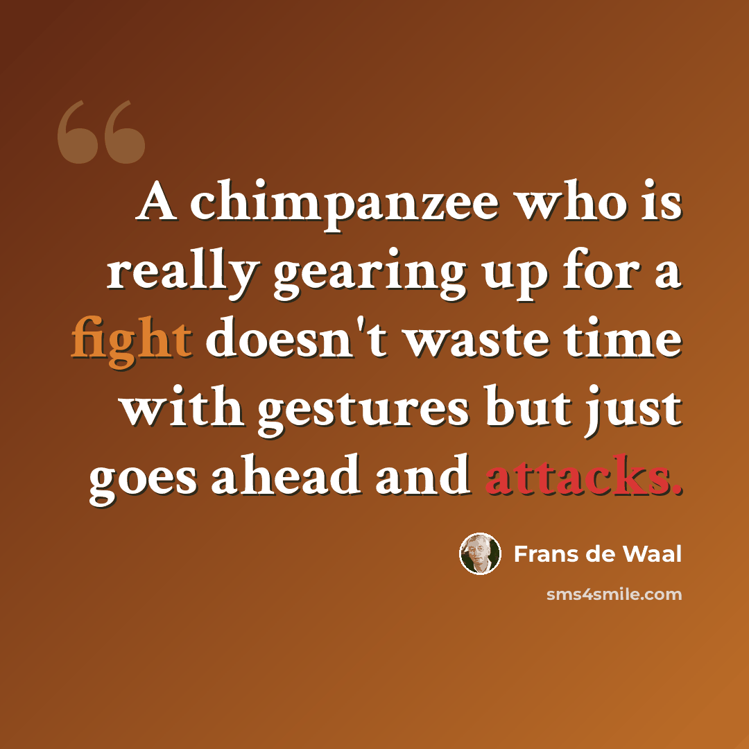“A chimpanzee who is really gearing up for a fight doesn't waste time with gestures but just goes ahead and attacks.” quote by Frans de Waal